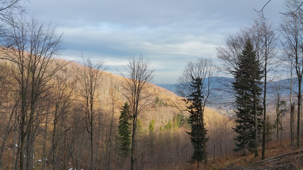 20180106_120601.jpg