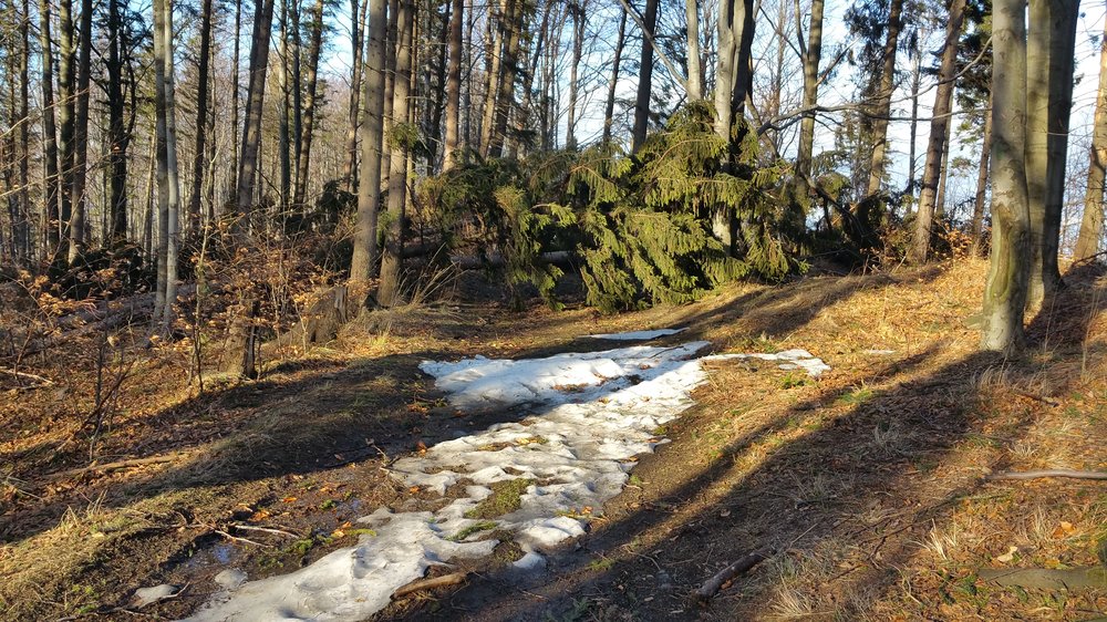 20180106_132125.jpg