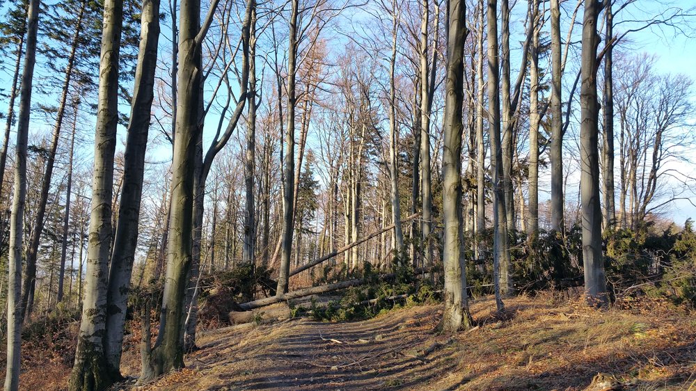20180106_132654.jpg