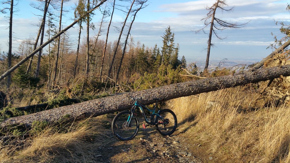 20180106_133724.jpg