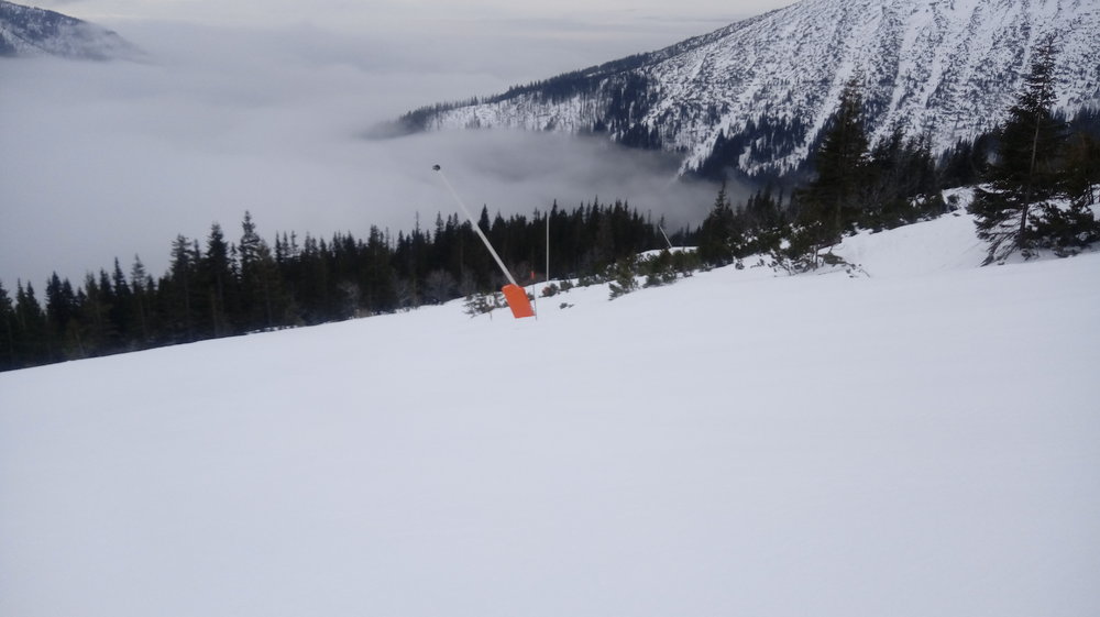 20180112_090131.thumb.jpg.ebf723da7605de4b74731a93cff58275.jpg