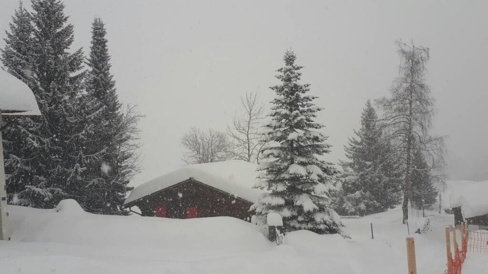 20180118_094013.jpg