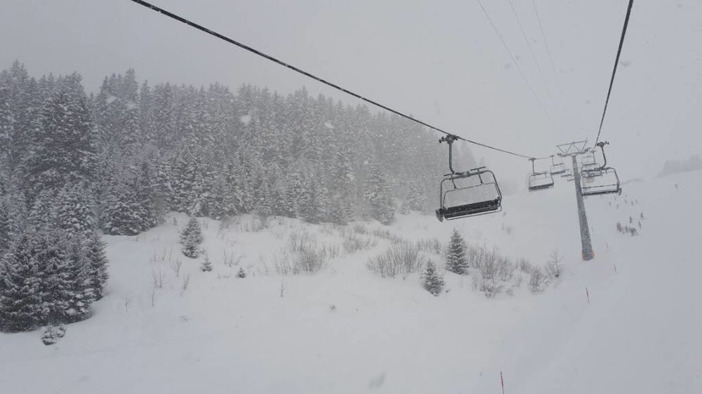 20180118_095456.jpg