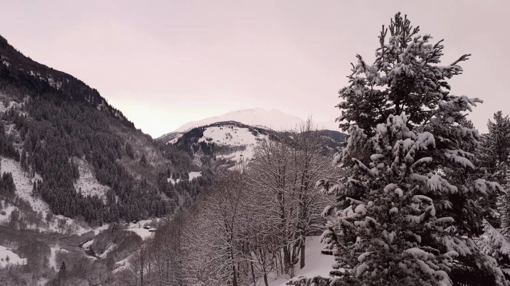 20180118_162057.jpg