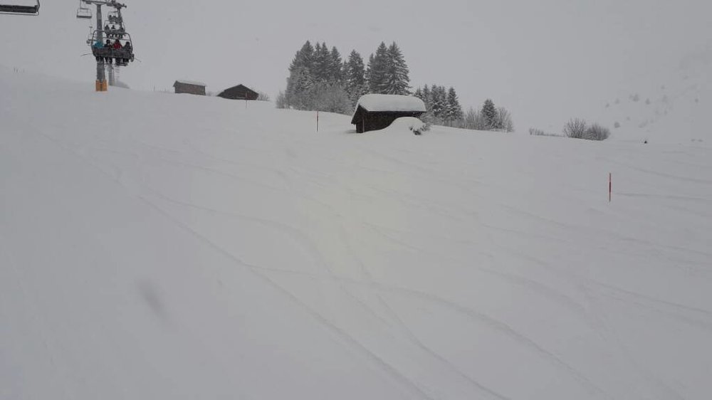 20180119_090631.jpg