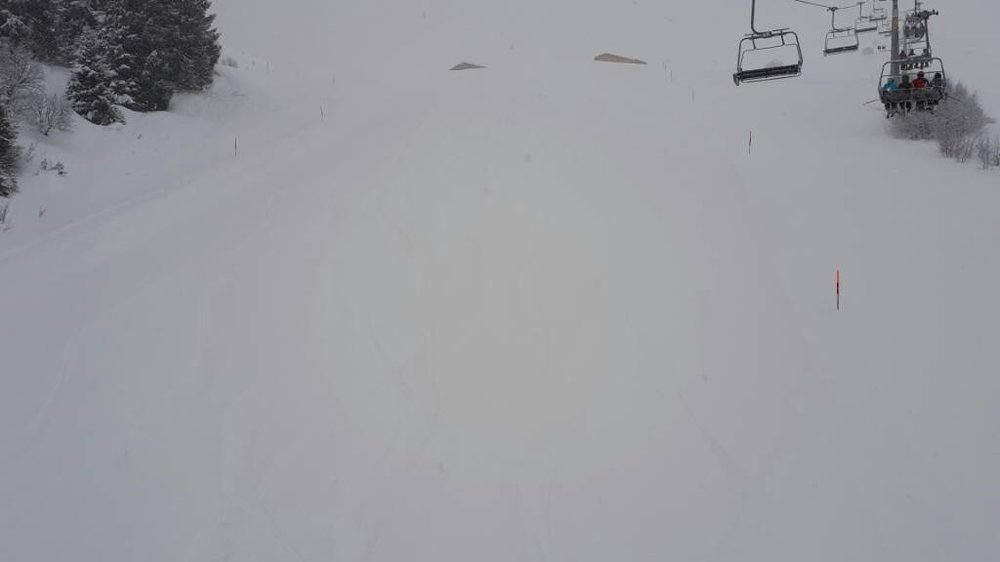 20180119_090732.jpg
