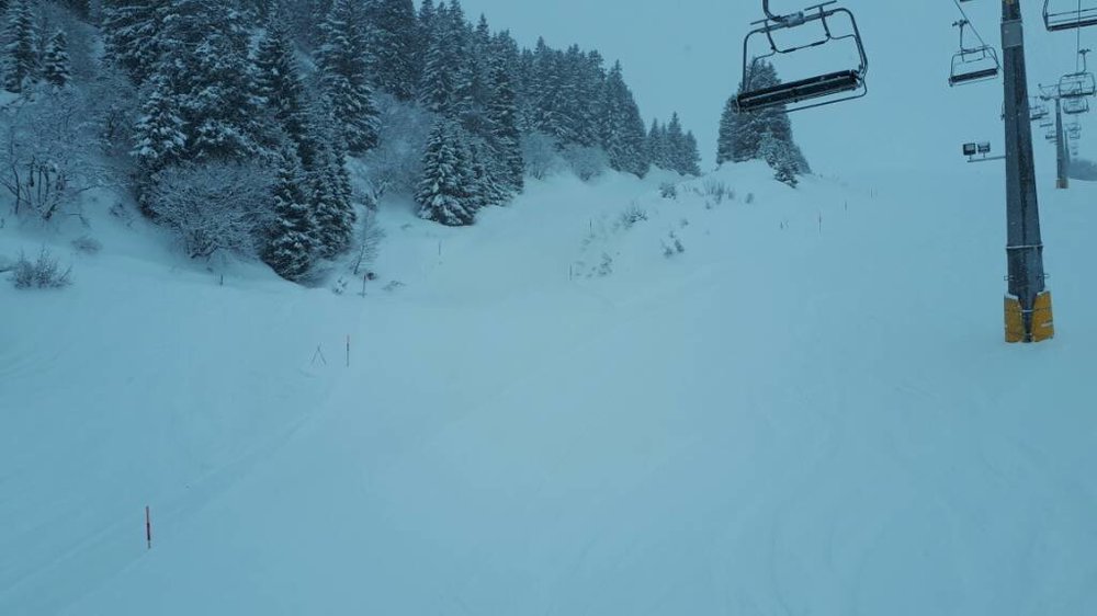 20180119_092653.jpg