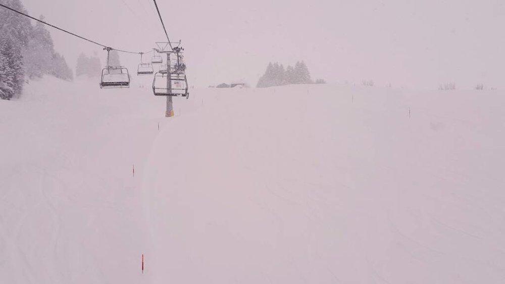 20180119_094201.jpg