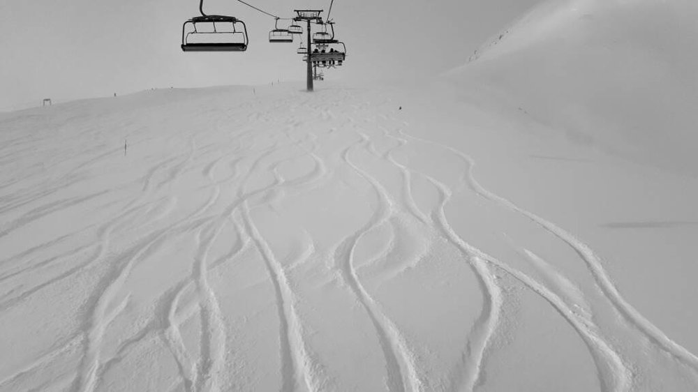 20180119_120541.jpg
