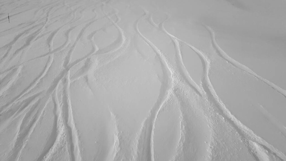 20180119_120545.jpg