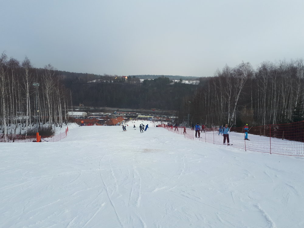 20180120_112916.thumb.jpg.0369875d5c754c98df8354c0e0e04553.jpg