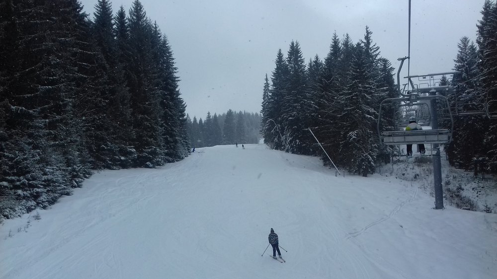 20180120_113108.thumb.jpg.dc84e63a1776bab695eda26e4c893251.jpg