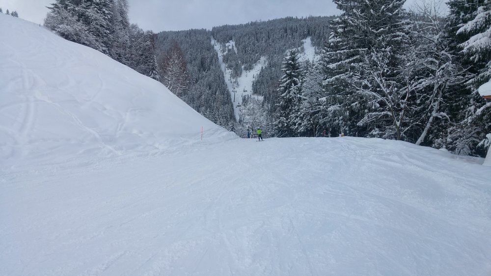 20180121_121722_HDR.jpg