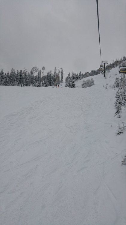 20180123_140051_HDR.jpg
