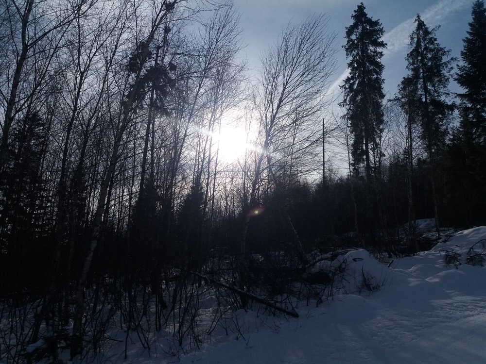20180125_105640.jpg