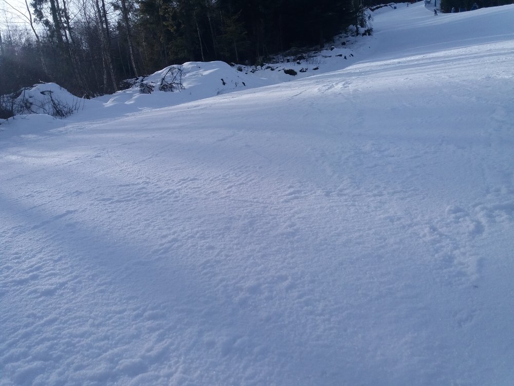 20180125_105646.thumb.jpg.4d70df434fe4bde29d3b7e69219de28d.jpg