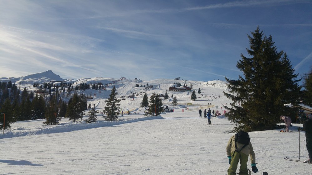 20180125_110909.jpg