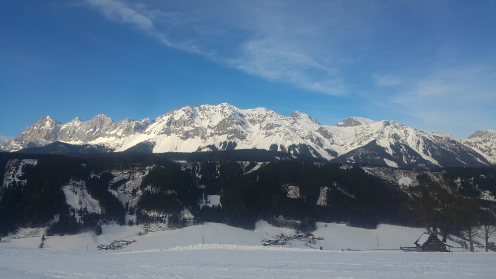 20180126_150057.jpg