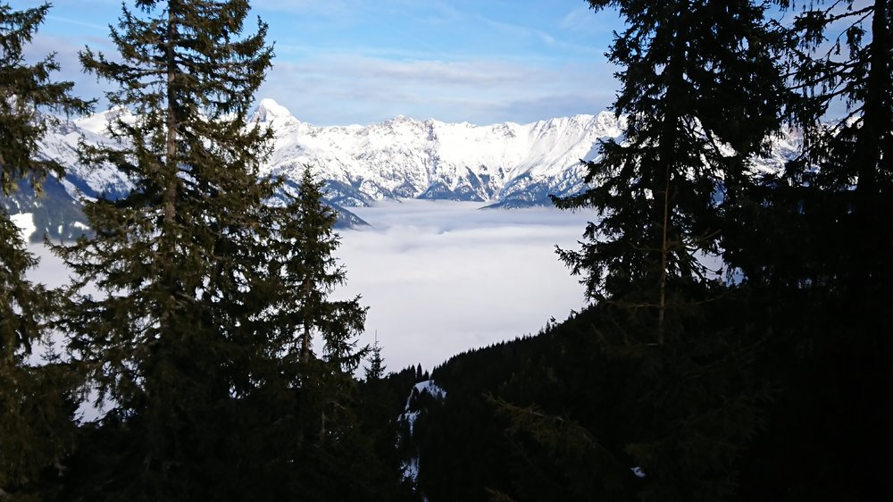 DSC_0095.JPG