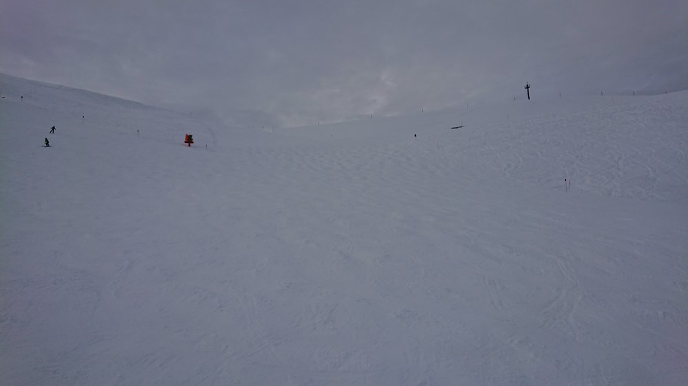 DSC_0105.JPG