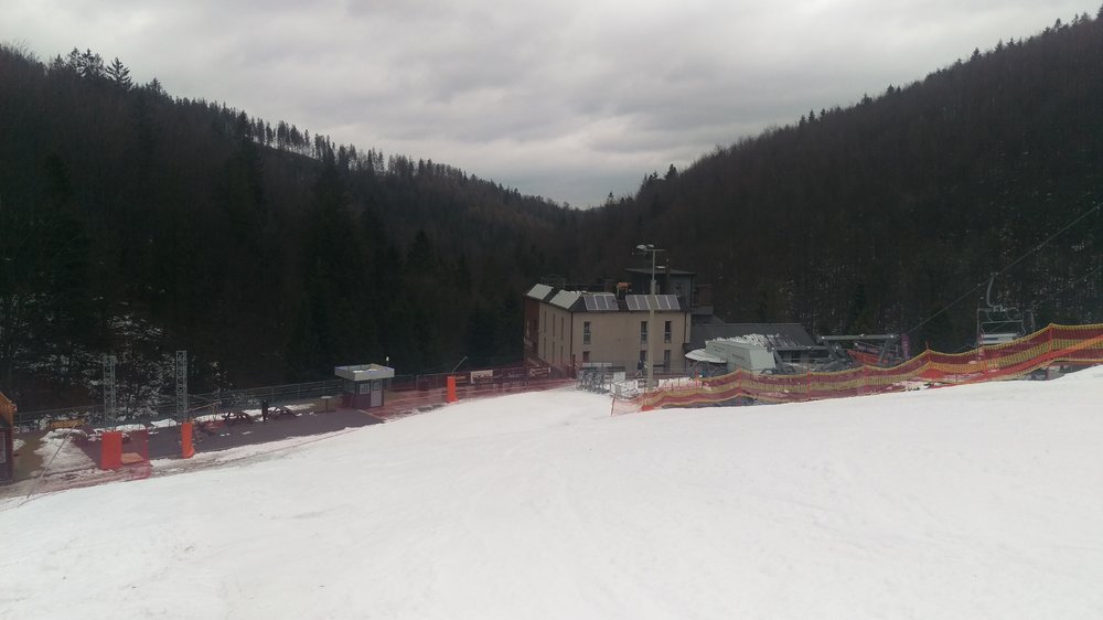 IMAG0037.jpg