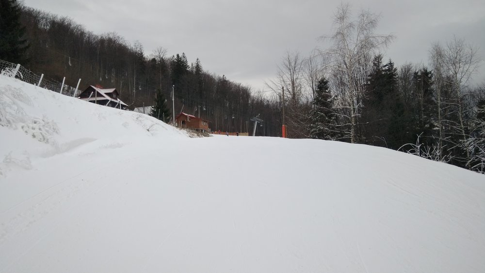 IMG_20180116_092936.jpg