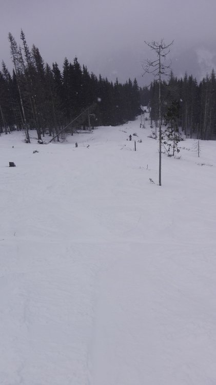 IMG_20180119_141749.thumb.jpg.793316f910616099ad77360cf3318e6f.jpg