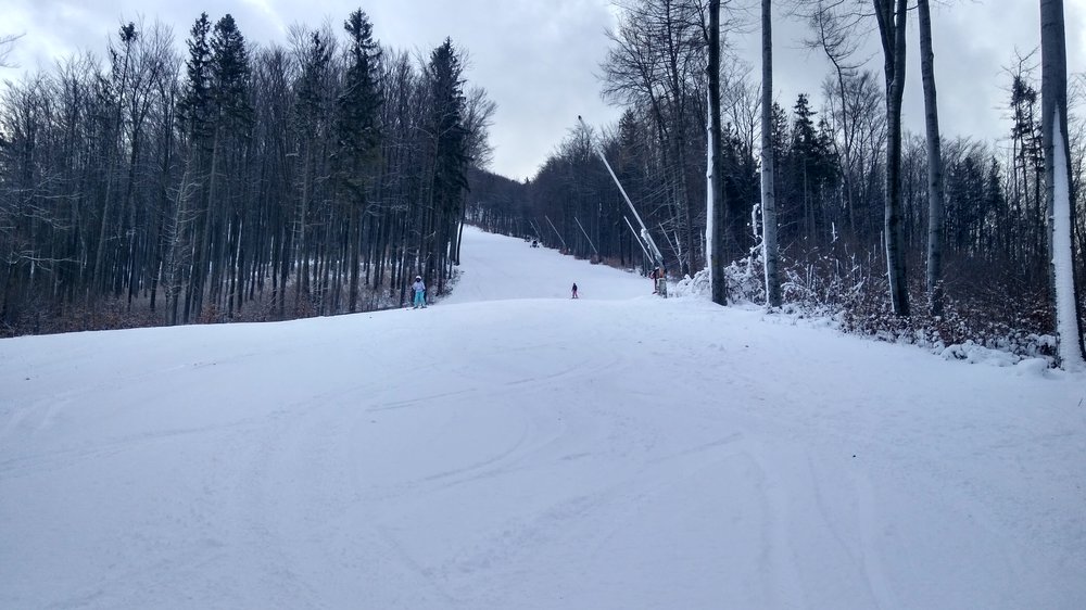 IMG_20180120_131237_HDR.jpg