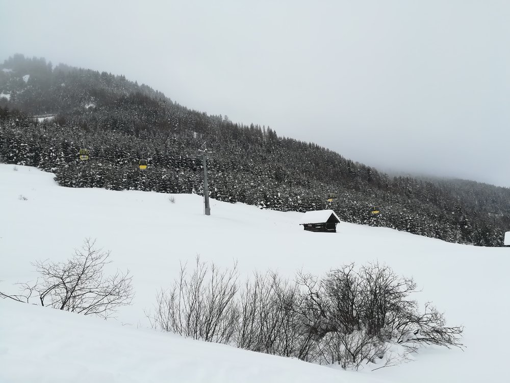 IMG_20180122_142436.jpg
