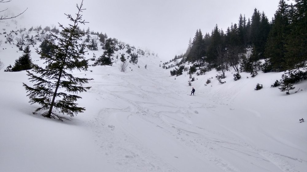 IMG_20180127_134341_HDR.jpg