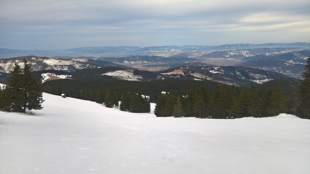 WP_20180101_10_18_24_Pro.jpg