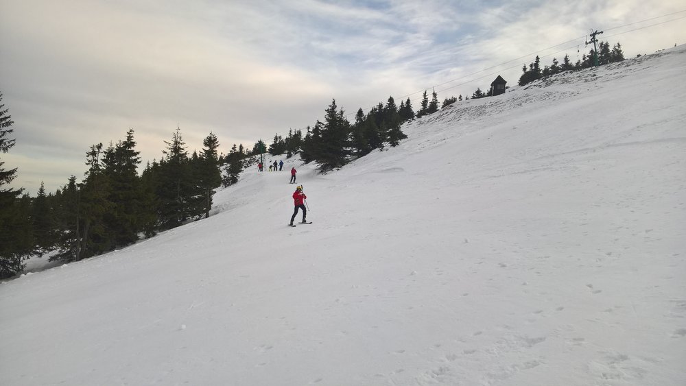 WP_20180101_10_18_27_Pro.jpg