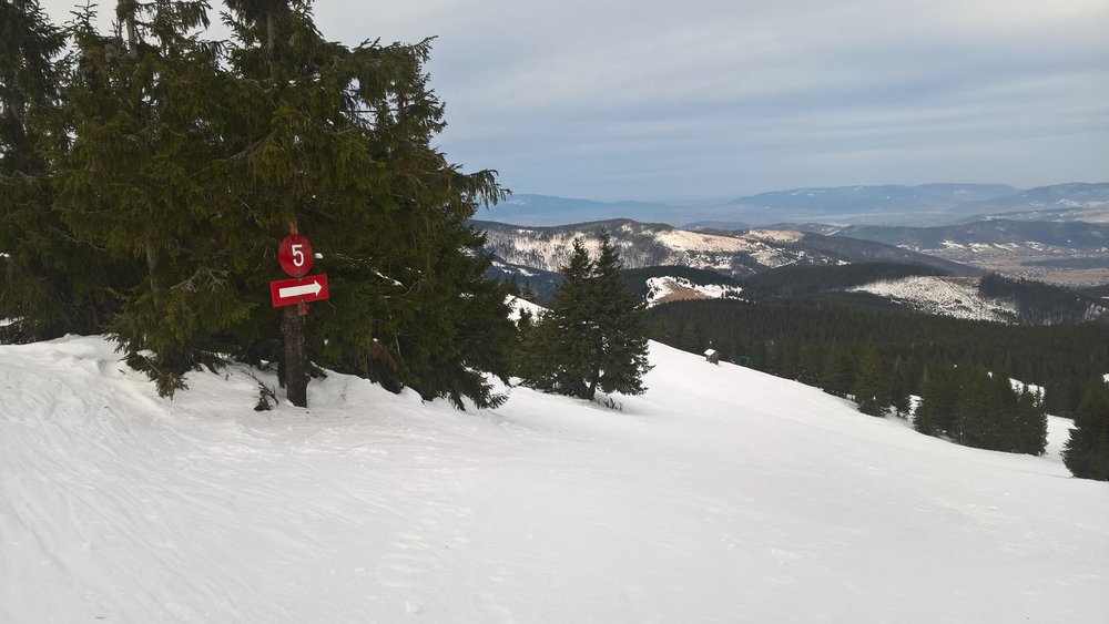WP_20180101_10_18_40_Pro.jpg