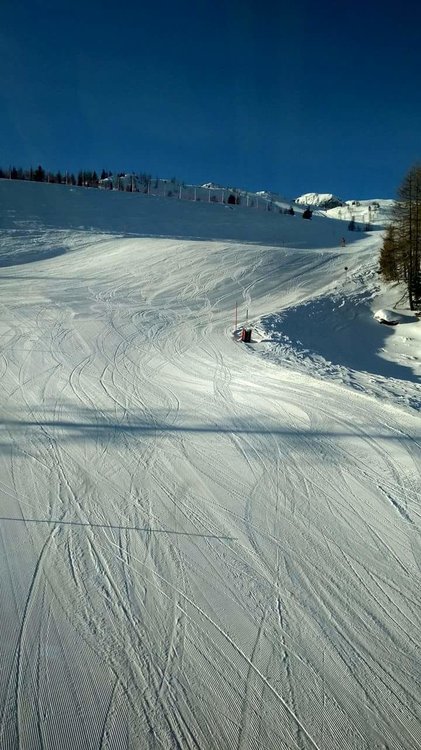 received_10210587187209217.jpeg