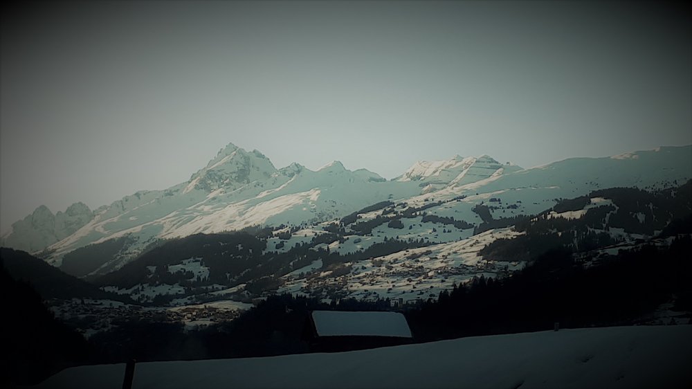 swiss3.thumb.jpg.8176e10f76b932111fa36e305d49d14c.jpg