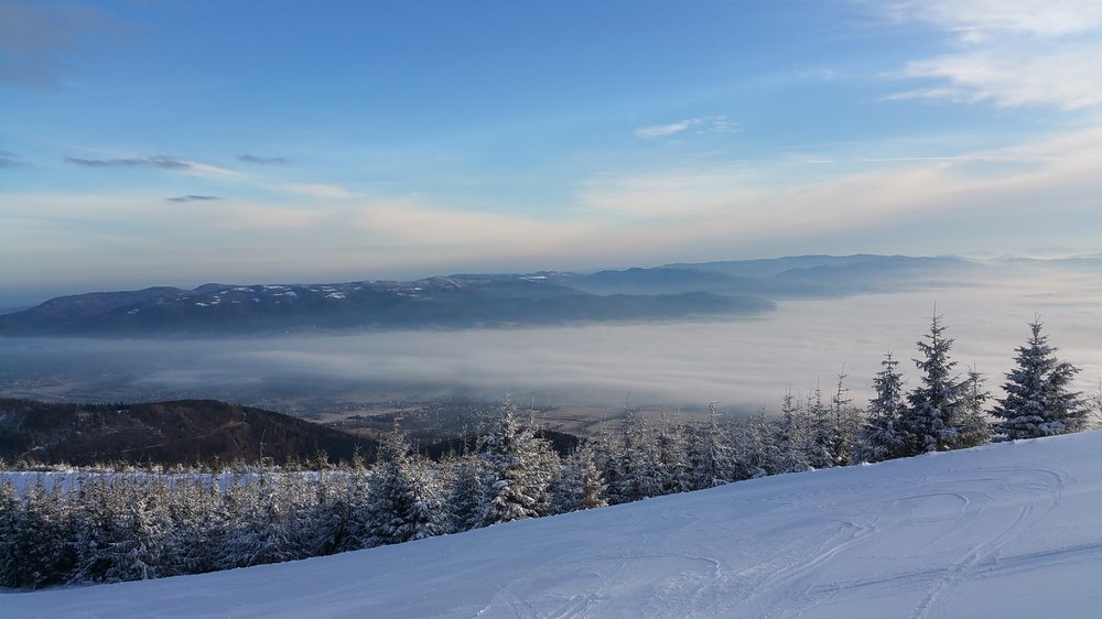 20180203_082953.jpg
