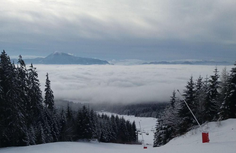 20180203_094255.jpg