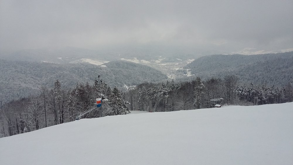 20180203_101634.jpg