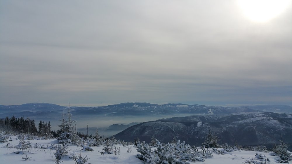 20180203_103722.jpg
