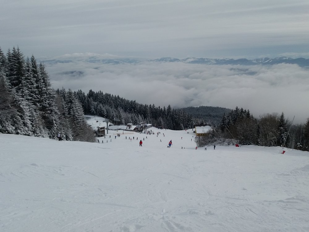 20180203_115358.jpg