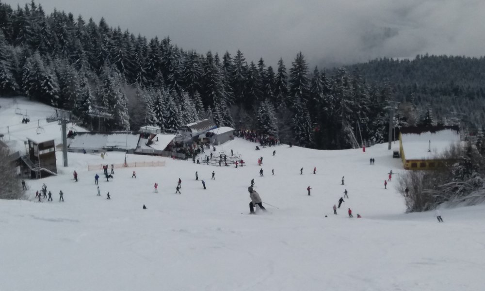 20180203_115406.jpg