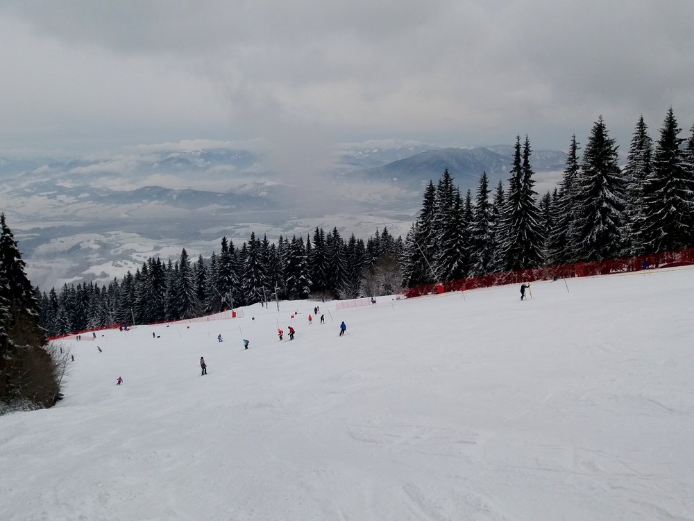 20180203_134312.jpg
