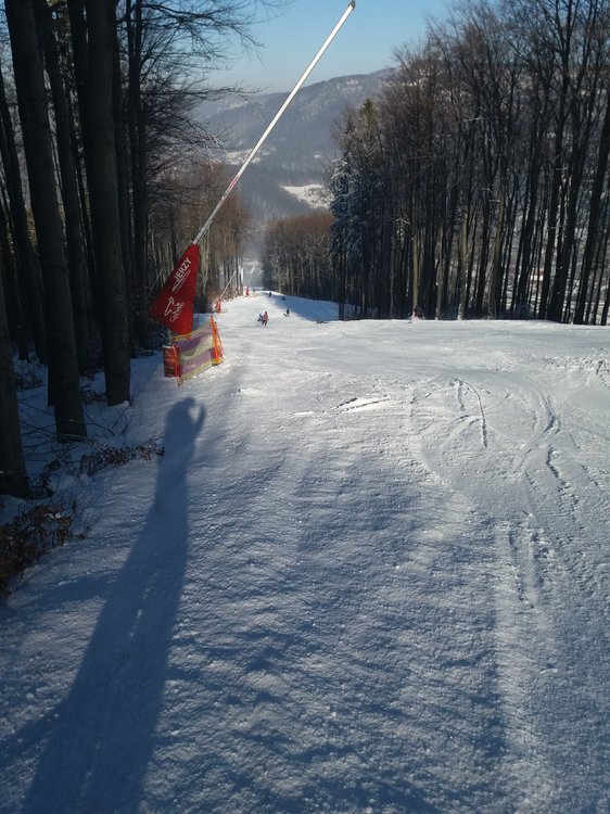 20180206_125401.jpg