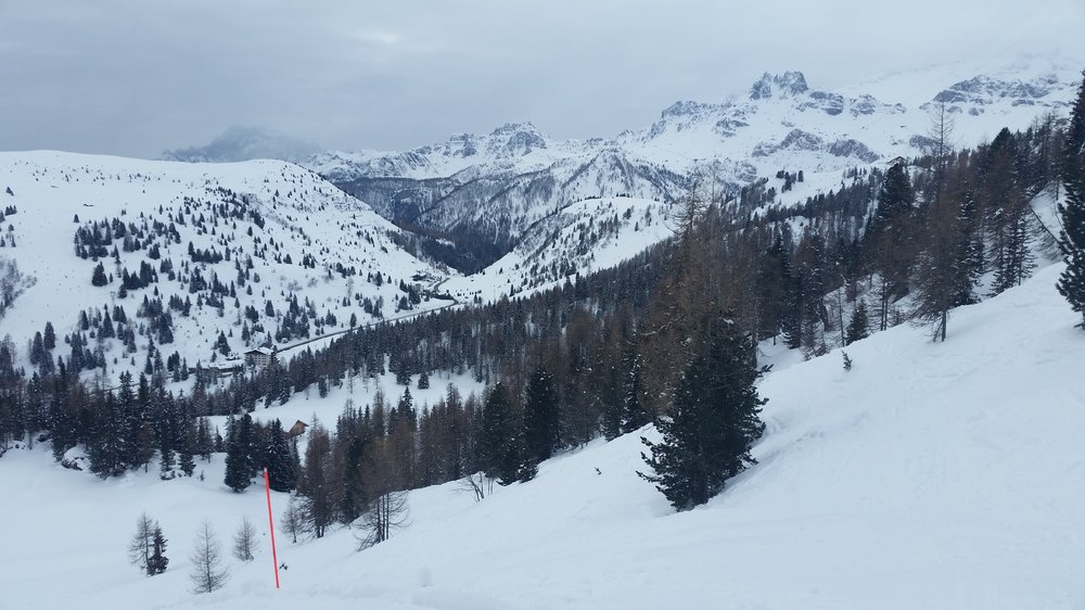 20180208_103820.jpg