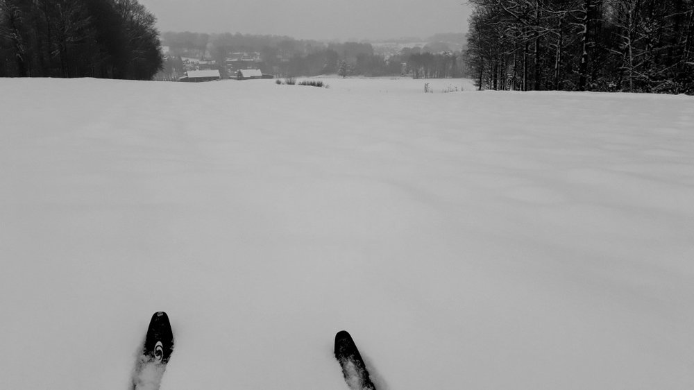 20180209_105107.thumb.jpg.3b827e822a1f6cecb6590615da5c5ba9.jpg