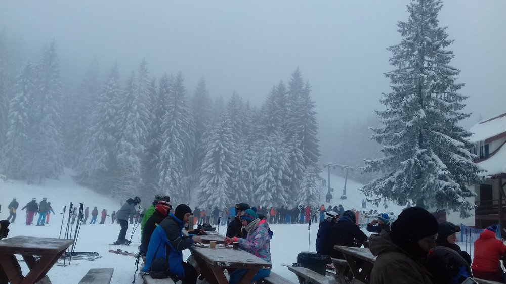 20180210_100451.jpg