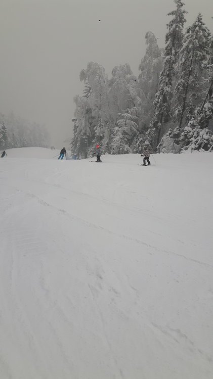 20180210_102639.jpg