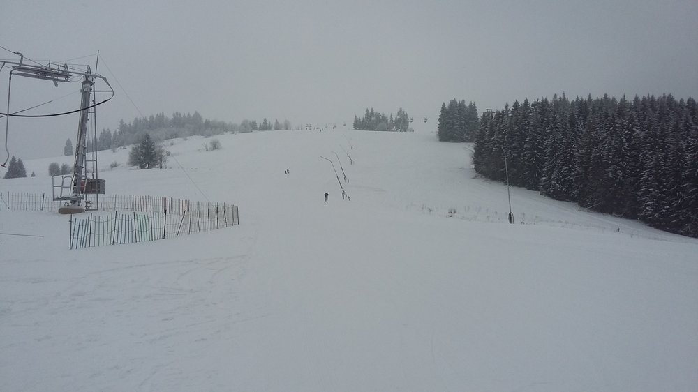 20180210_103404.jpg