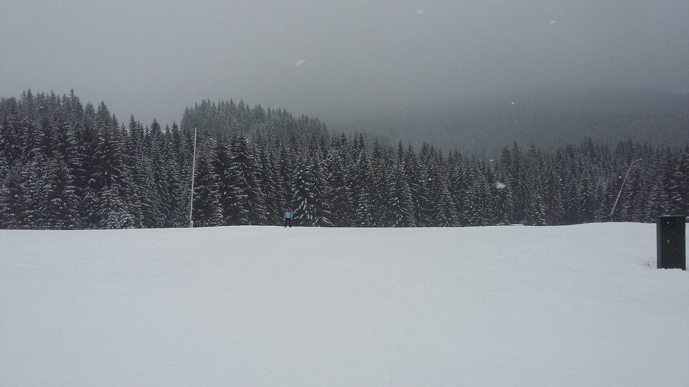 20180210_103407.jpg