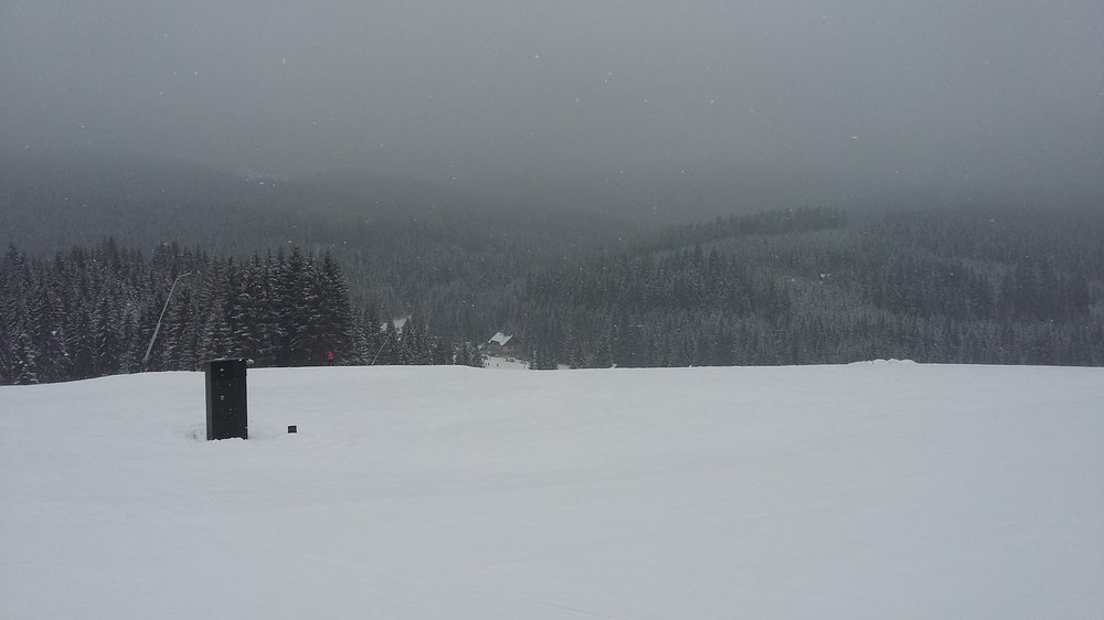 20180210_103410.jpg